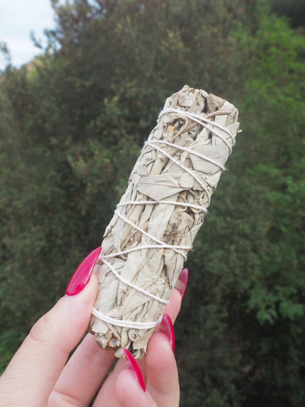 Sahumerio de Salvia Blanca · 10 cm