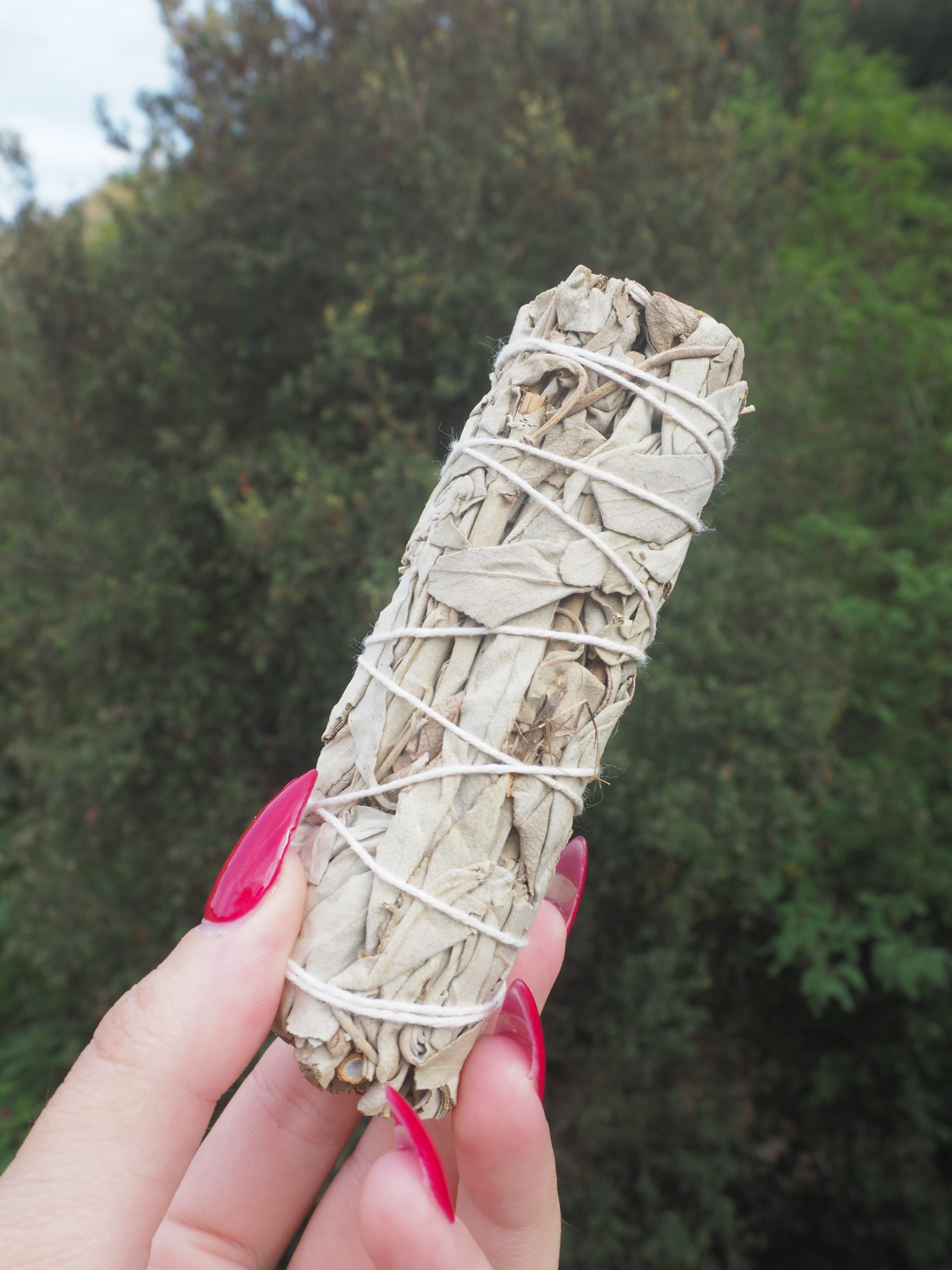 Sahumerio de Salvia Blanca · 10 cm