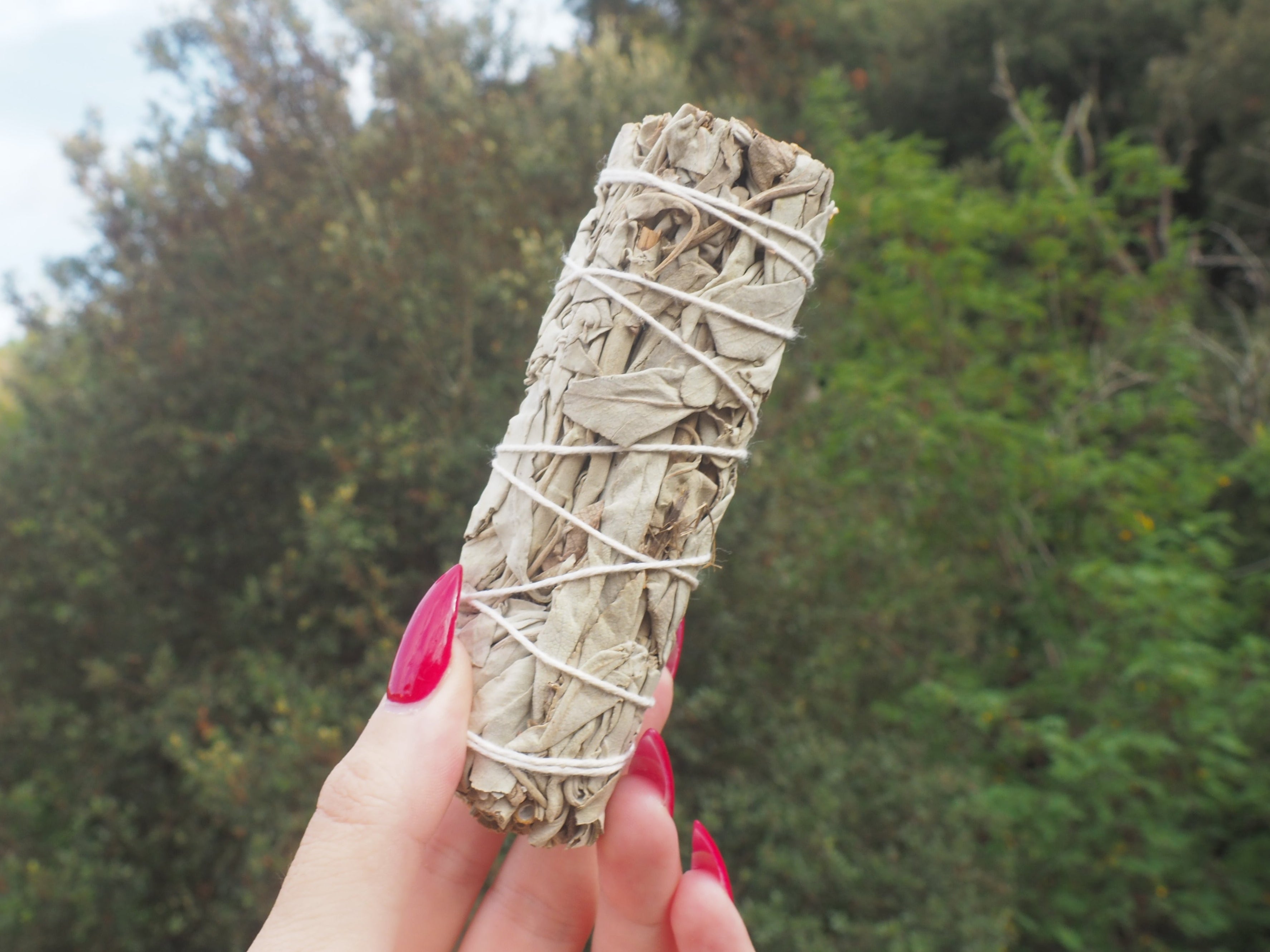 Sahumerio de Salvia Blanca · 10 cm