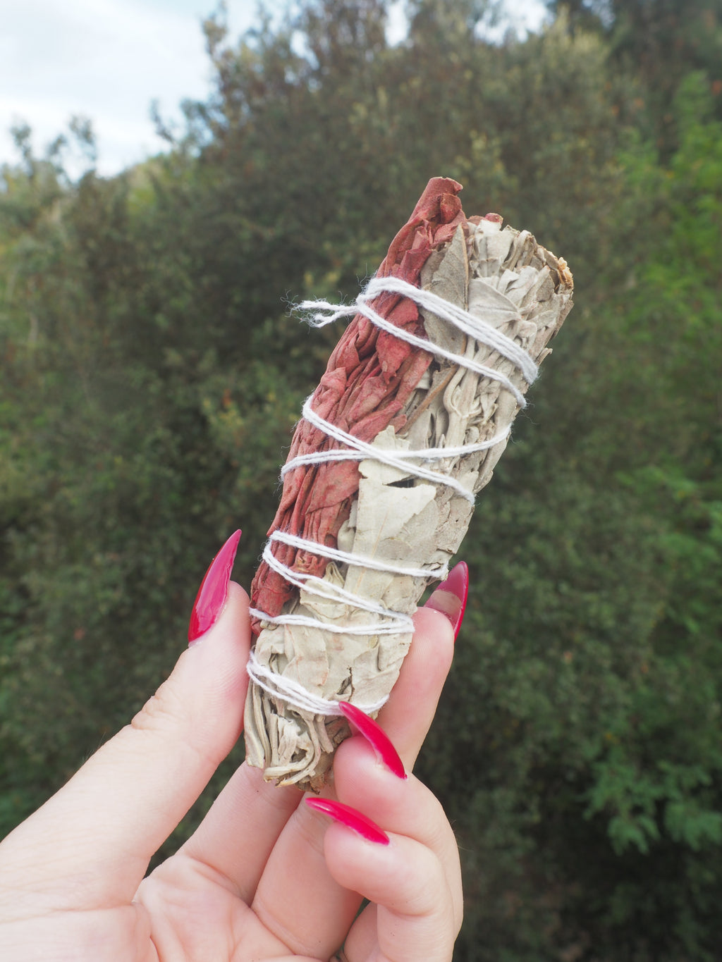 Sahumerio de Salvia Blanca y Sangre de Dragón · 10 cm
