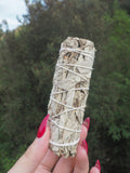 Sahumerio de Salvia Blanca · 10 cm