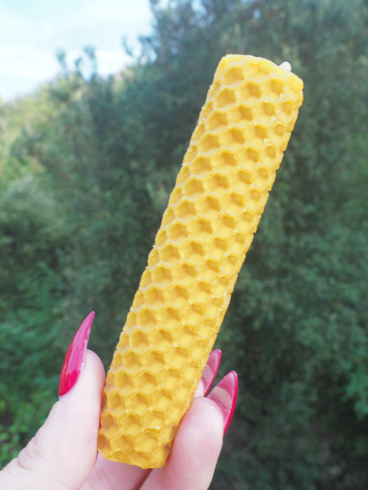 Vela de cera de abeja natural · 10 cm